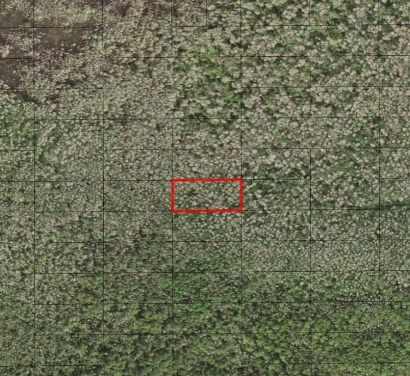 0 Holopaw Groves Road, St Cloud, FL 34772