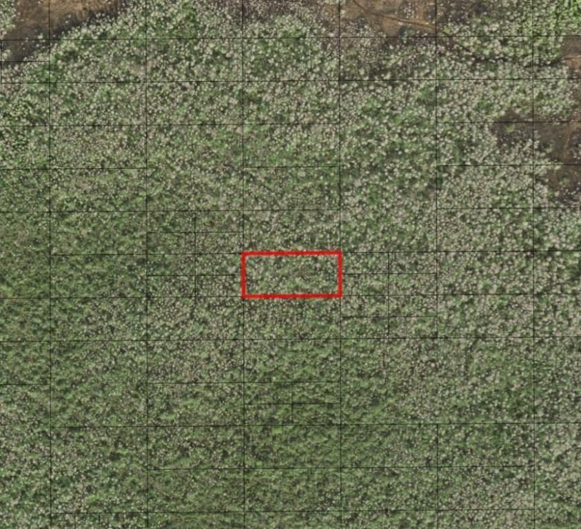 0 Holopaw Groves Road, St Cloud, FL 34772