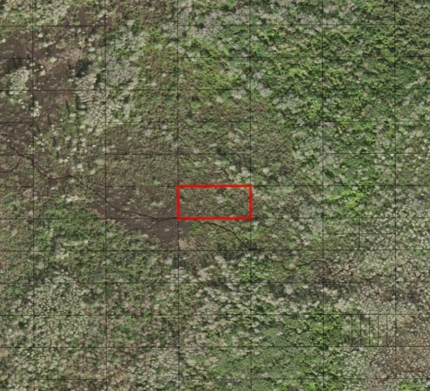 0 Holopaw Groves Road, St Cloud, FL 34772