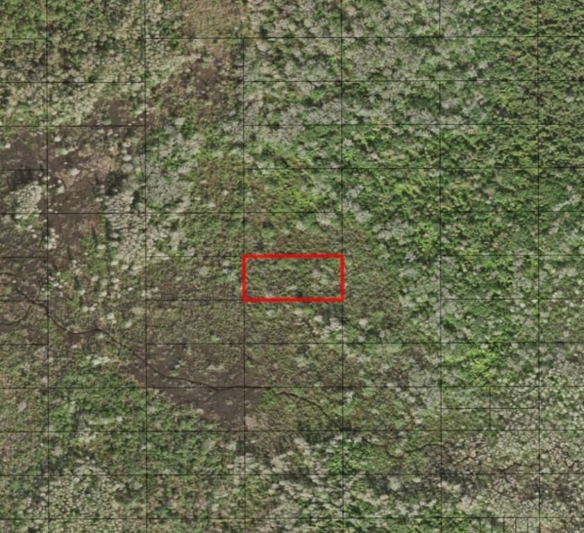 0 Holopaw Groves Road, St Cloud, FL 34772 photo 2