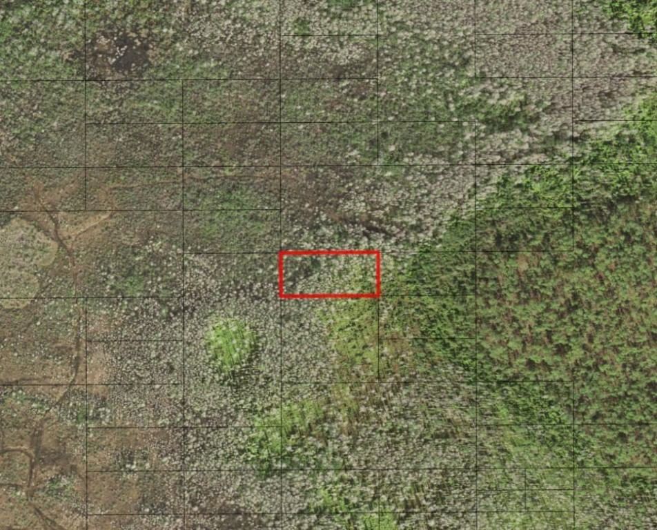 0 Holopaw Groves Road, St Cloud, FL 34772