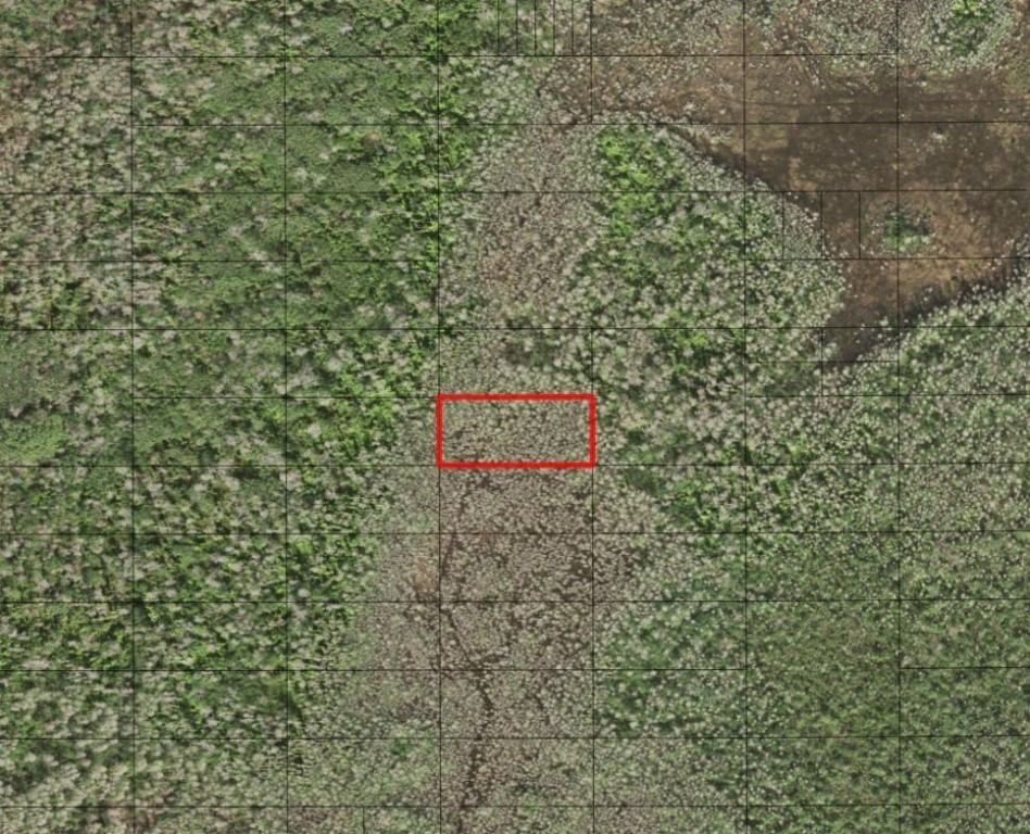 0 Holopaw Groves Road, St Cloud, FL 34772
