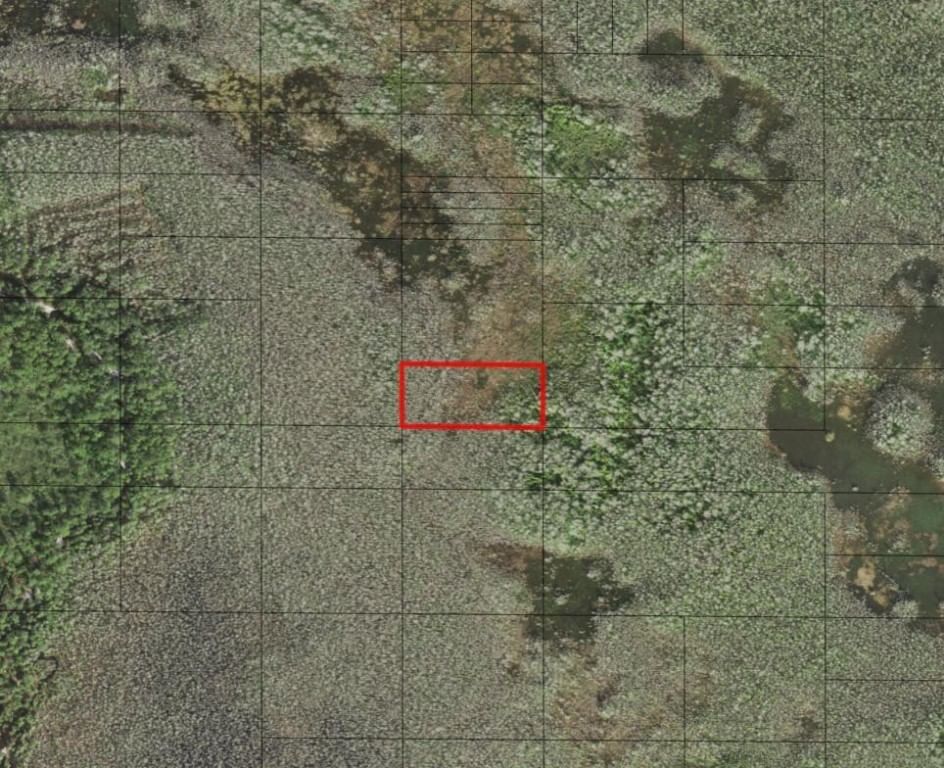 0 Holopaw Groves Road, St Cloud, FL 34772
