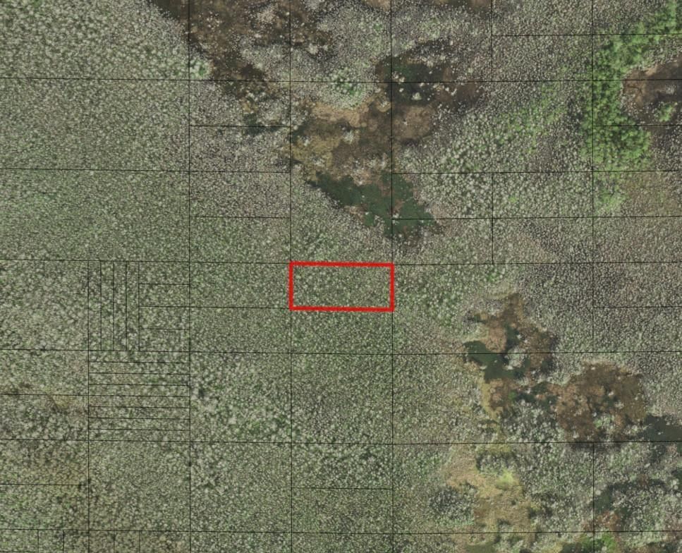 0 Holopaw Groves Road, St Cloud, FL 34772
