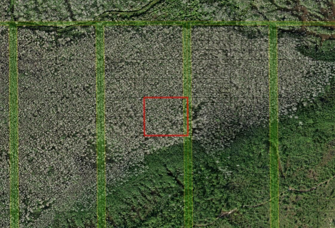 0 Holopaw Groves Road, St Cloud, FL 34772