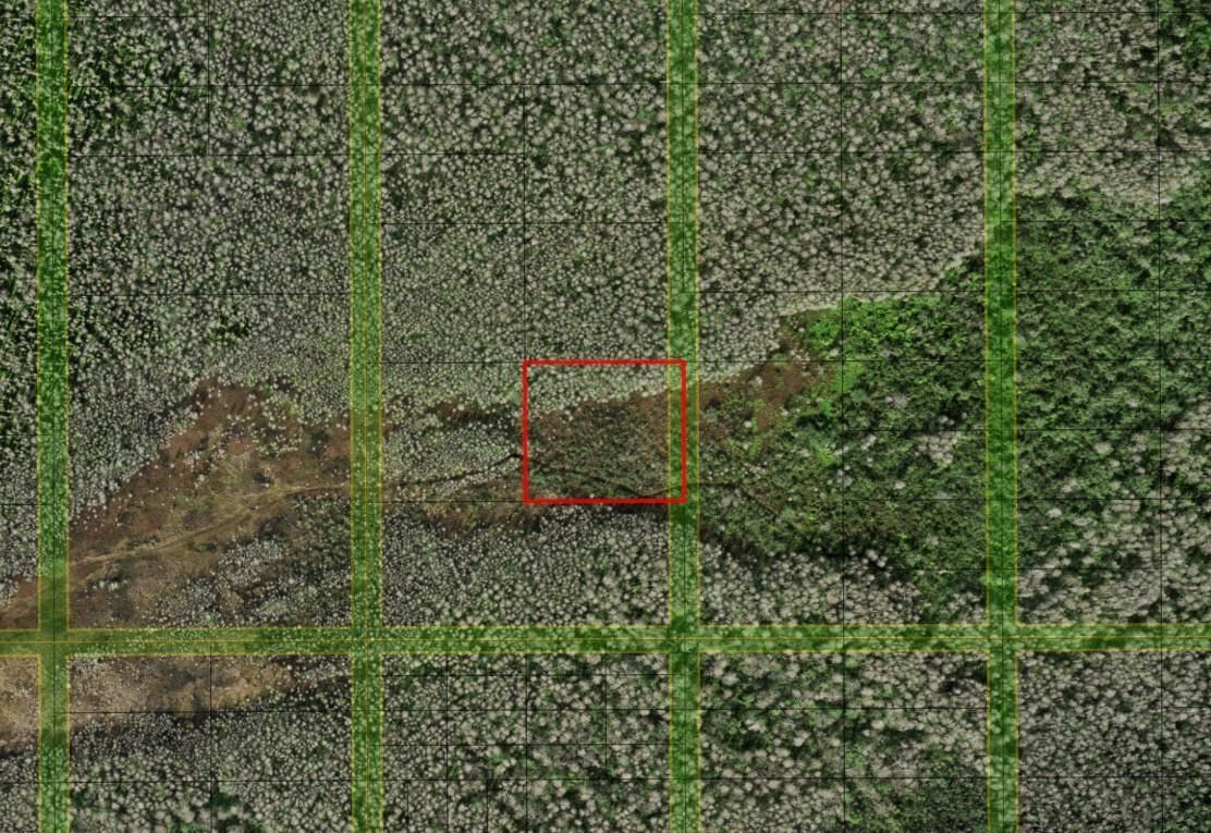 0 Holopaw Groves Road, St Cloud, FL 34772