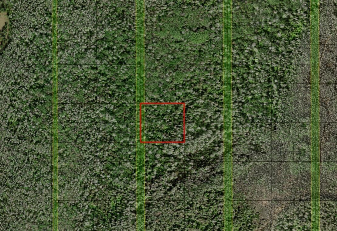 0 Holopaw Groves Road, St Cloud, FL 34772