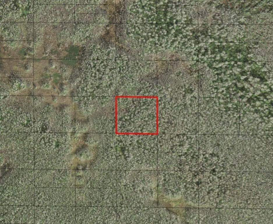 0 Holopaw Groves Road, St Cloud, FL 34772