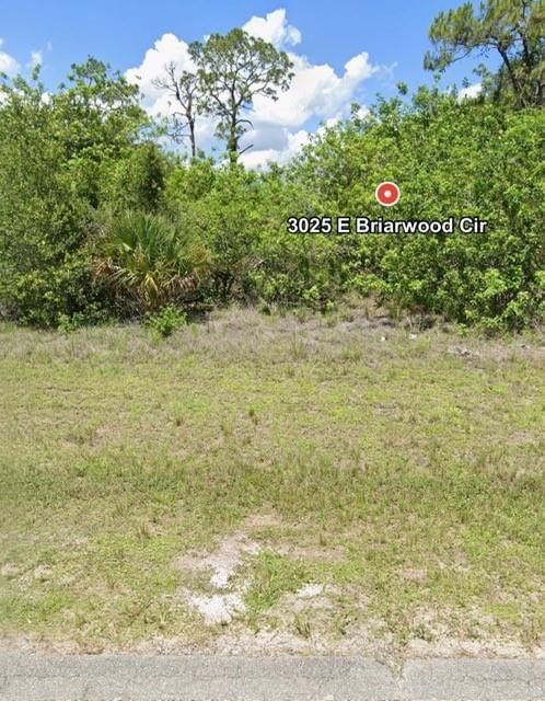 3025 E Briarwood Circle, Labelle, FL 33935 photo 5