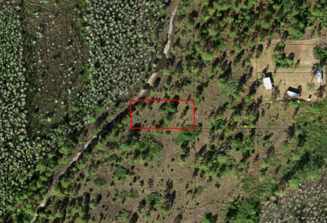 0 Holopaw Groves Road, St Cloud, FL 34772 photo 2