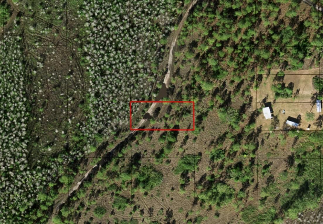 0 Holopaw Groves Road, St Cloud, FL 34772