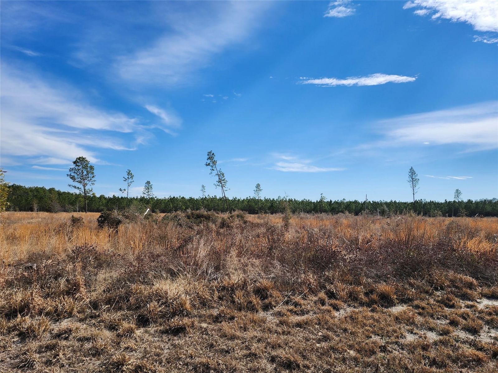 Lot 50 Fl-50, Live Oak, FL 32060