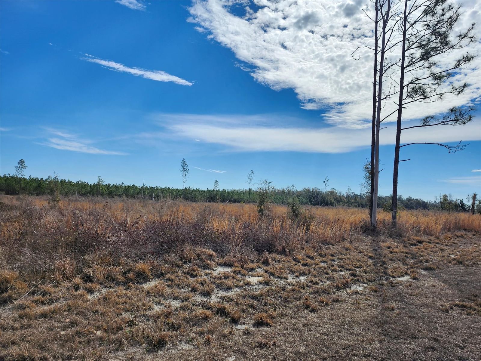 Lot 50 Fl-50, Live Oak, FL 32060 photo 3