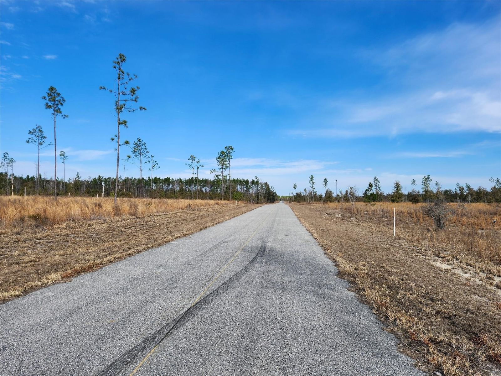 Lot 50 Fl-50, Live Oak, FL 32060 photo 5