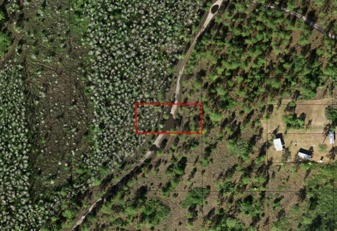 0 Holopaw Groves Road, St Cloud, FL 34772