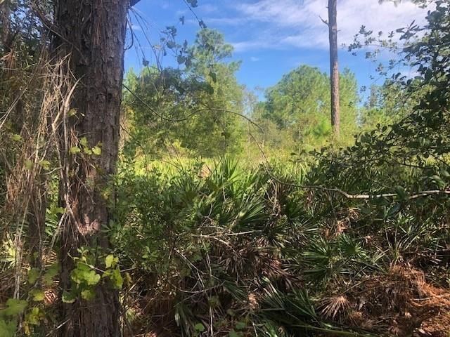 0 Old Grade Road, Polk City, FL 33868