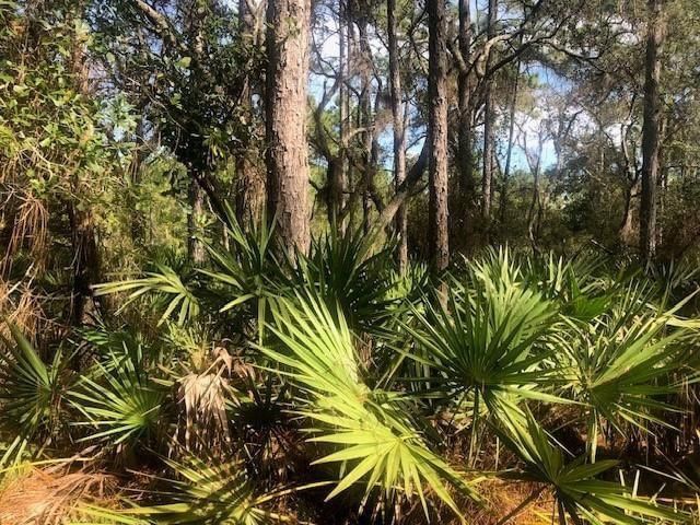 0 Old Grade Road, Polk City, FL 33868