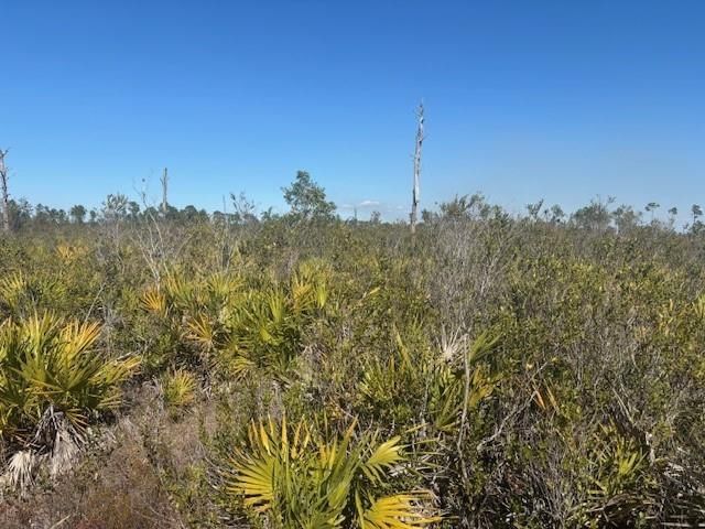 0 Hwy 630e, Frostproof, FL 33843 photo 2