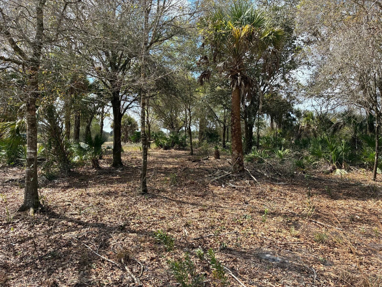19731 NW 266th Street, Okeechobee, FL 34972 photo 4