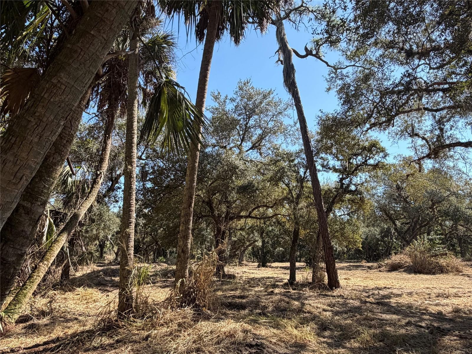 Tbd SE 40th Avenue, Okeechobee, FL 34974 photo 2
