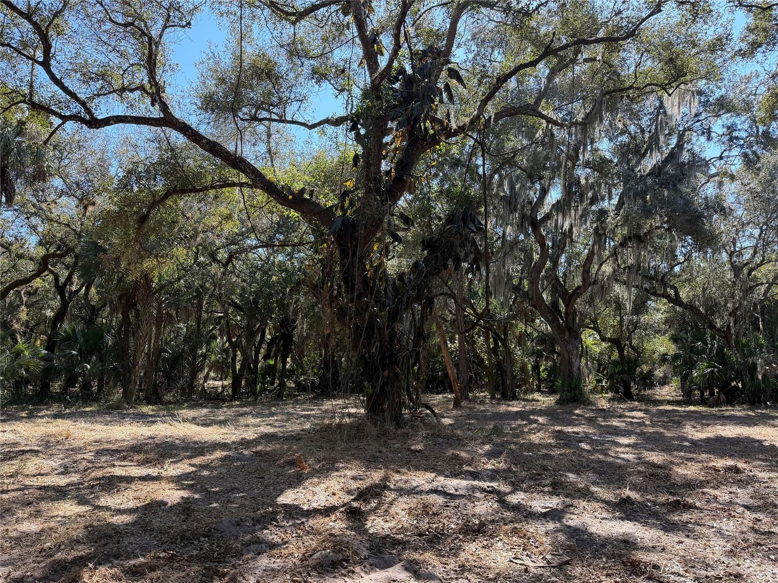 Tbd SE 40th Avenue, Okeechobee, FL 34974 photo 3