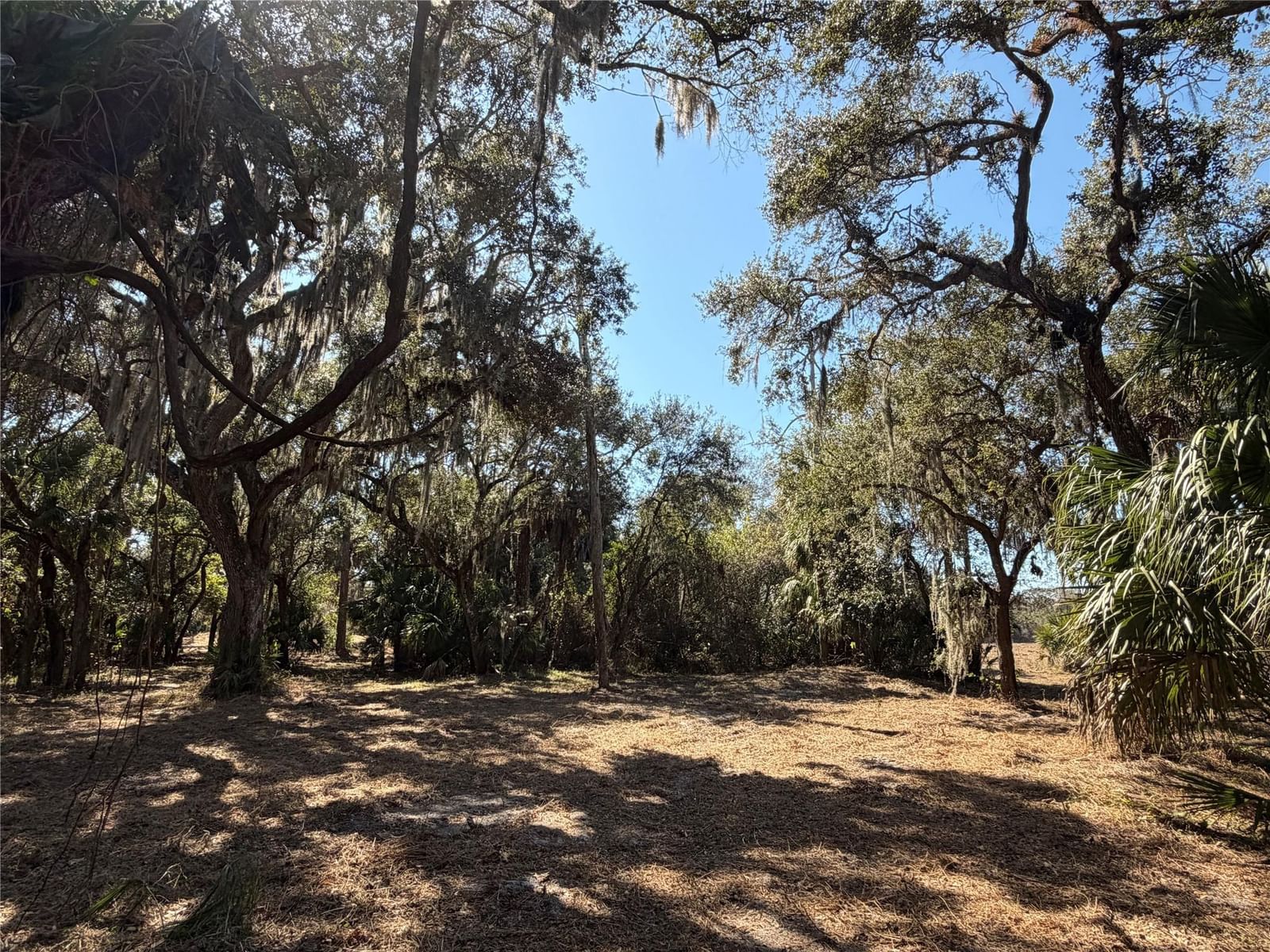 Tbd SE 40th Avenue, Okeechobee, FL 34974 photo 4