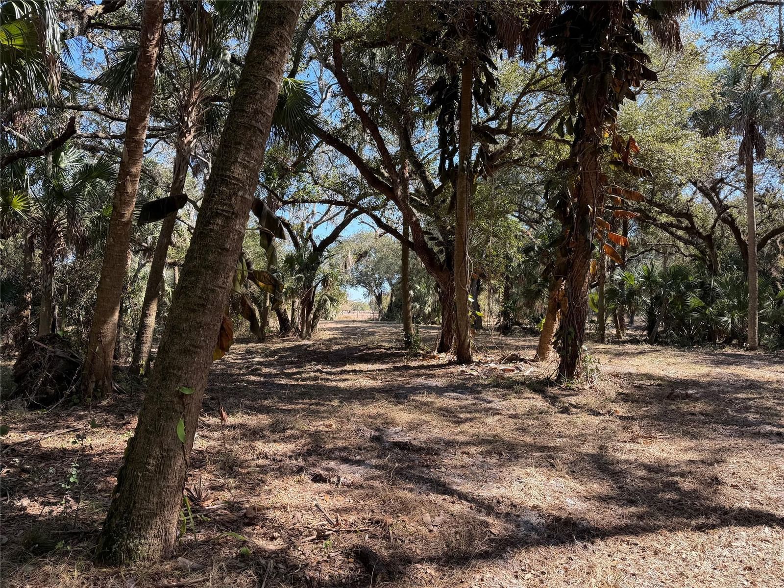 Tbd SE 40th Avenue, Okeechobee, FL 34974 photo 5