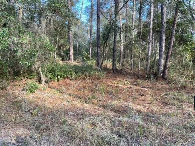 417 Incline Rd, Satsuma, FL 32189