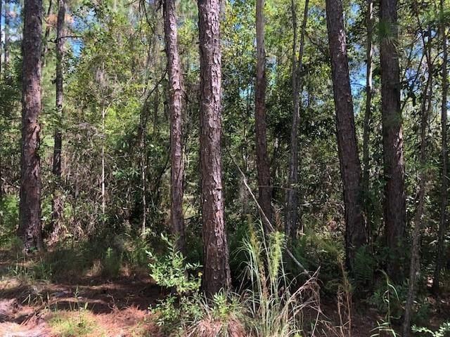 0 Old Grade Road, Polk City, FL 33868 photo 2