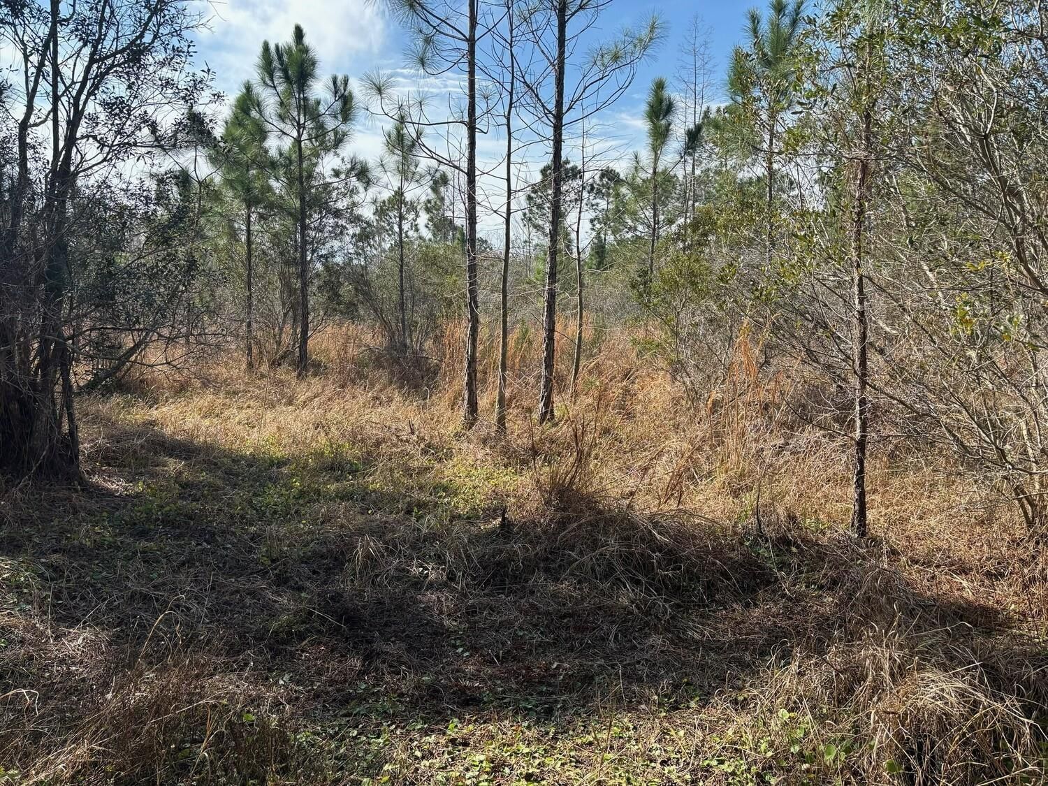0 Old Grade Road, Polk City, FL 33868 photo 2