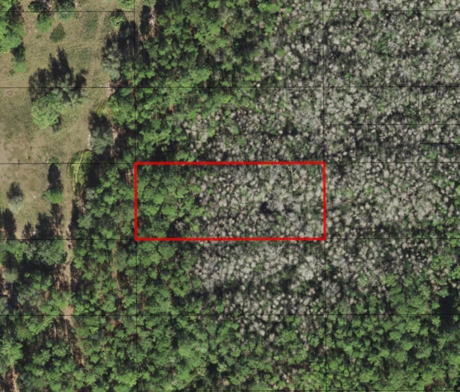 0 Old Grade Road, Polk City, FL 33868 photo 2