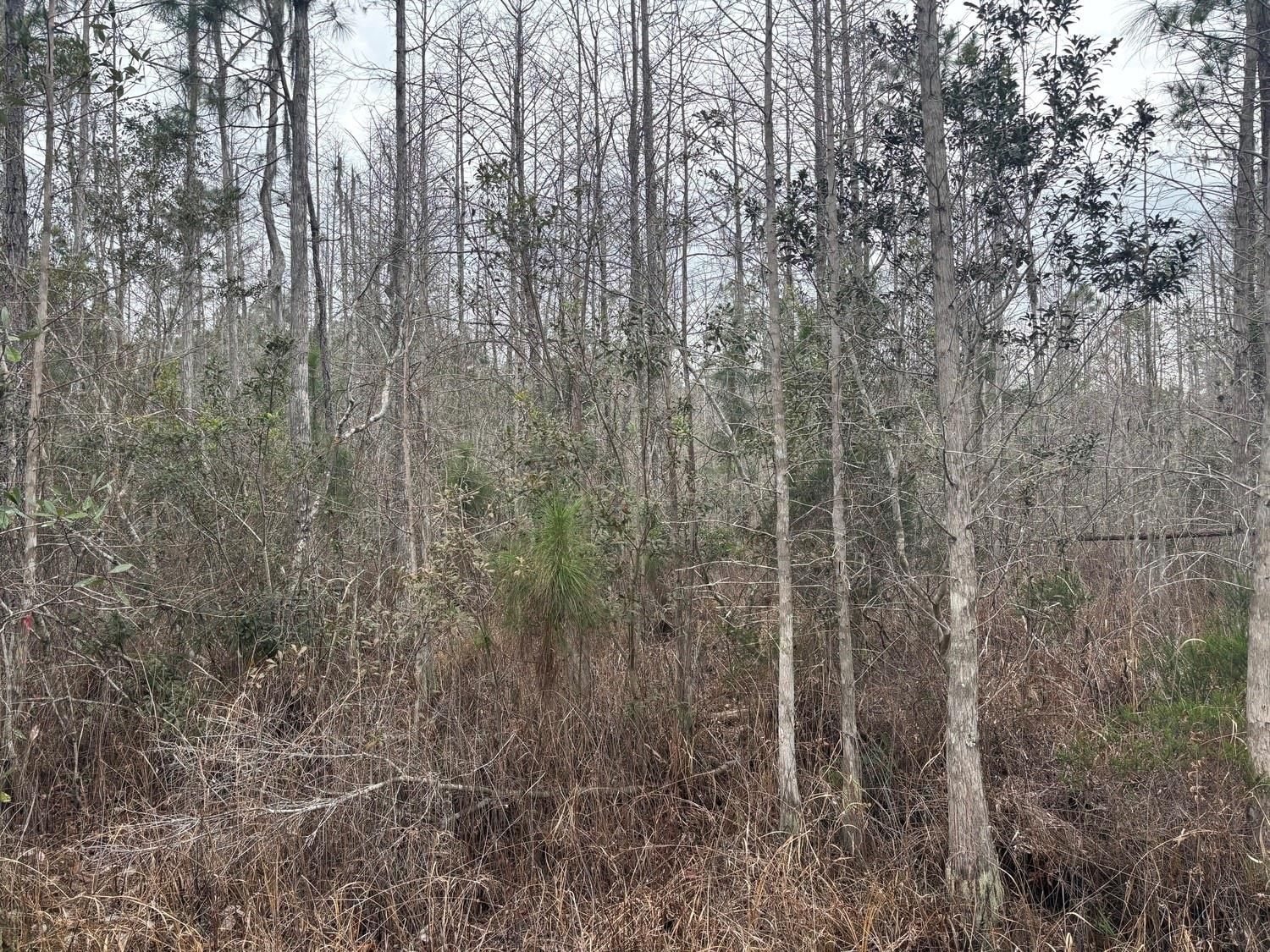 0 Old Grade Road, Polk City, FL 33868