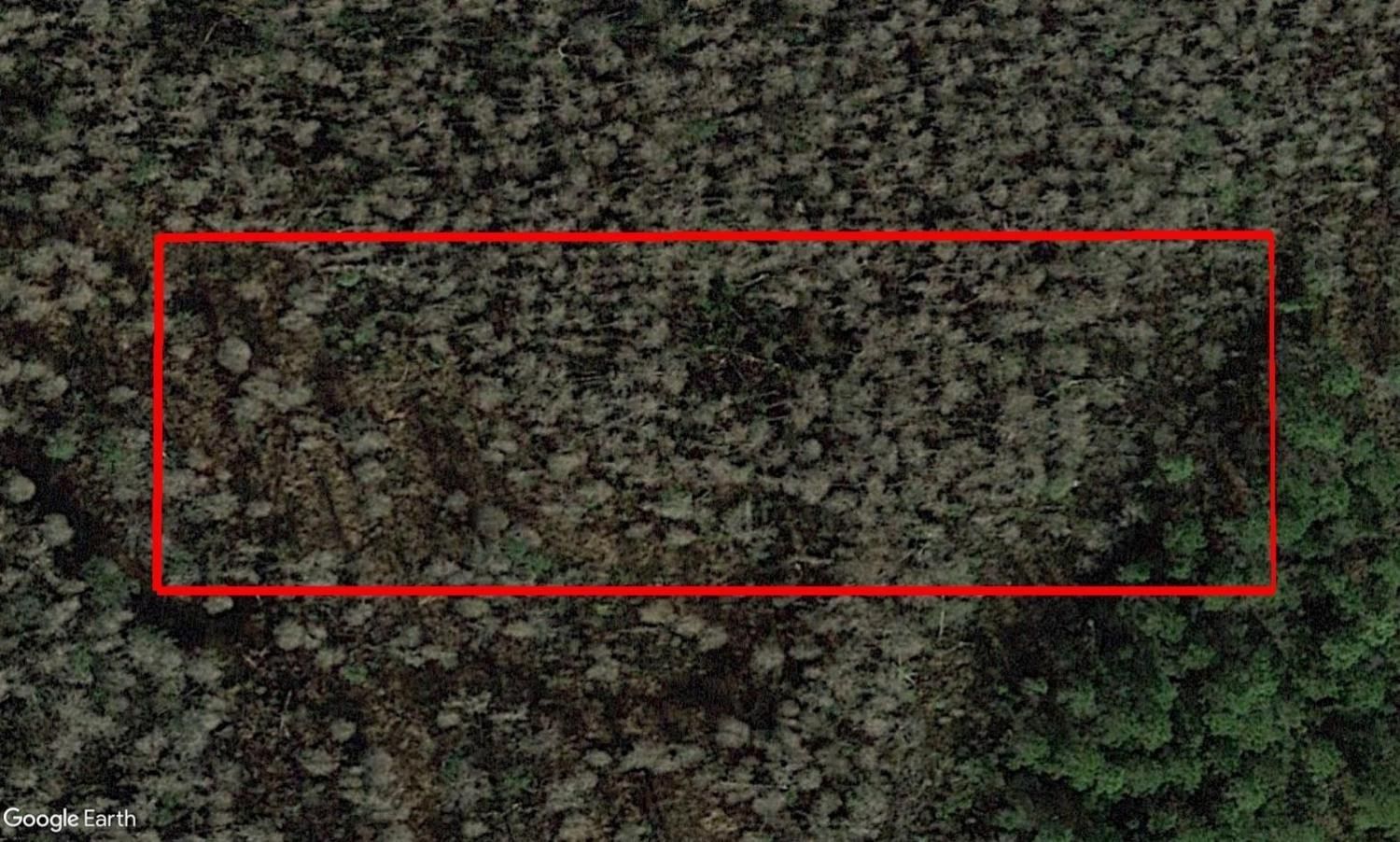 0 Old Grade Road, Polk City, FL 33868 photo 2