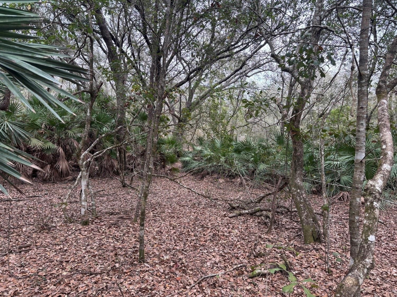0 Old Grade Road, Polk City, FL 33868 photo 2