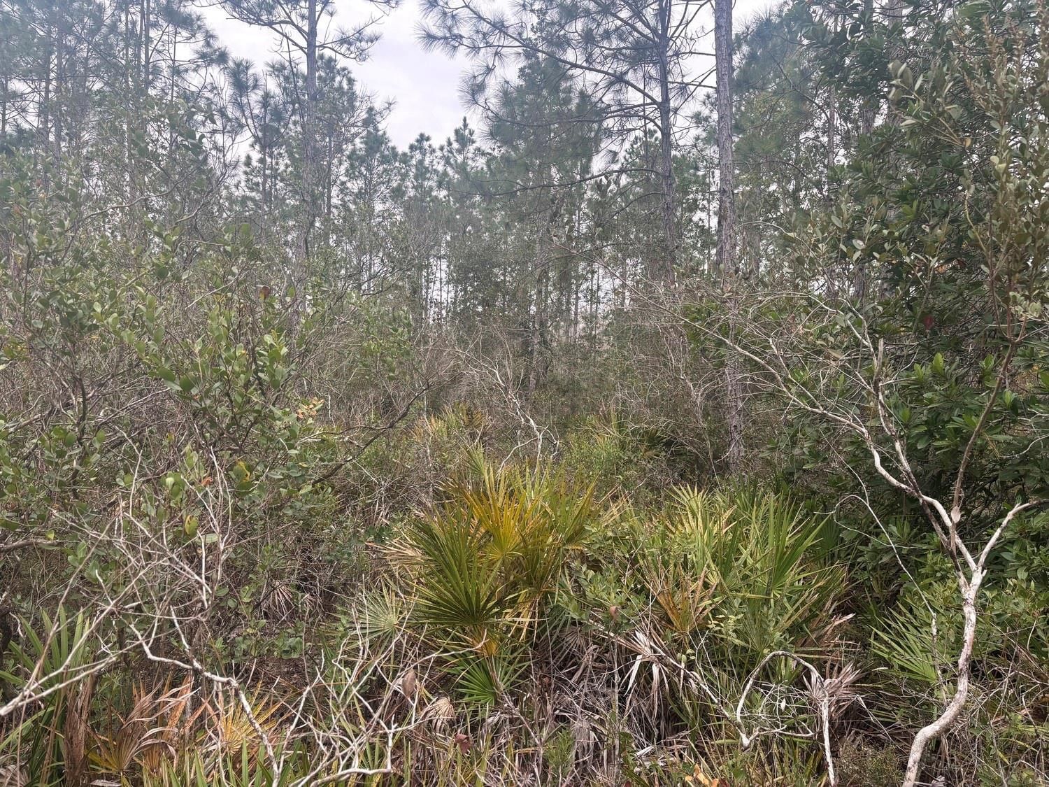 0 Old Grade Road, Polk City, FL 33868