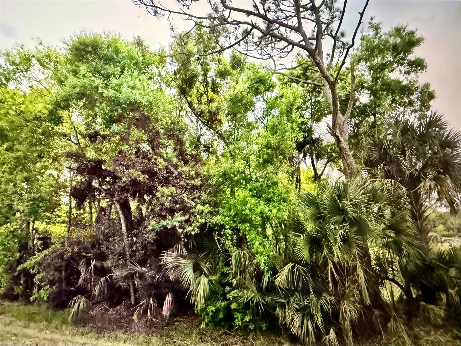 2551 NW 35th Drive, Okeechobee, FL 34972 photo 2