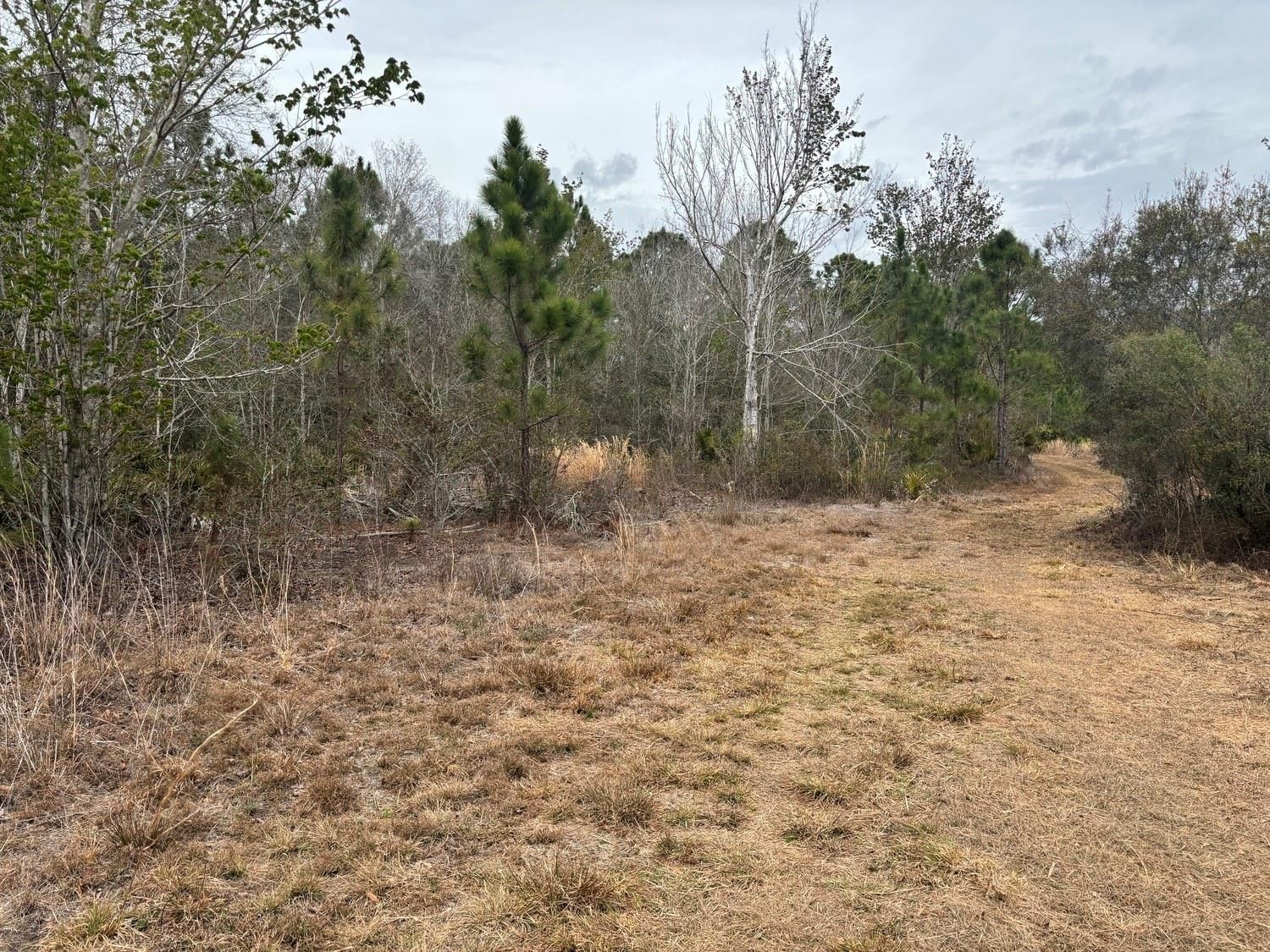 0 Old Grade Road, Polk City, FL 33868 photo 3