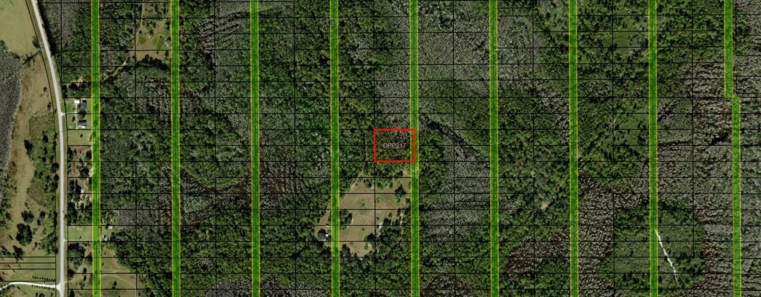 0 Old Grade Road, Polk City, FL 33868 photo 3