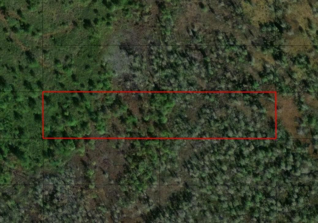 0 Old Grade Road, Polk City, FL 33868