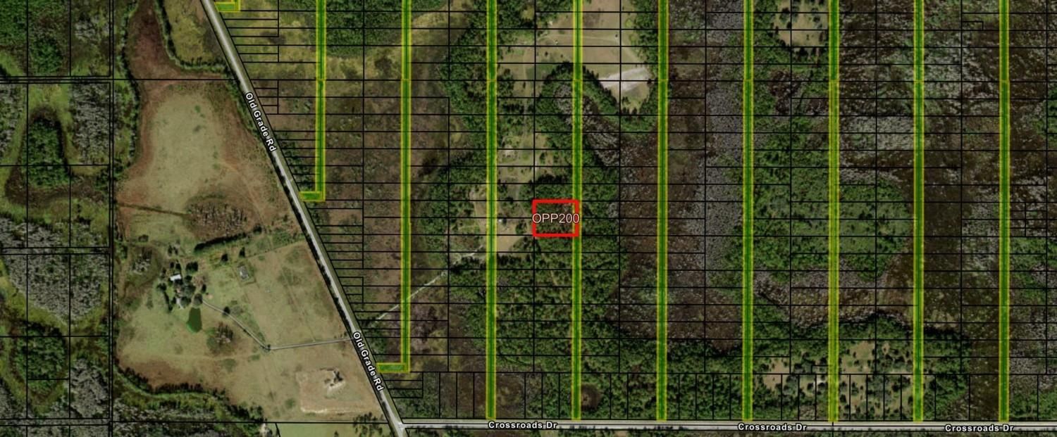 0 Old Grade Road, Polk City, FL 33868
