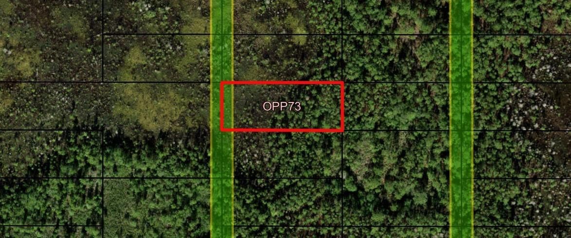 0 Old Grade Road, Polk City, FL 33868
