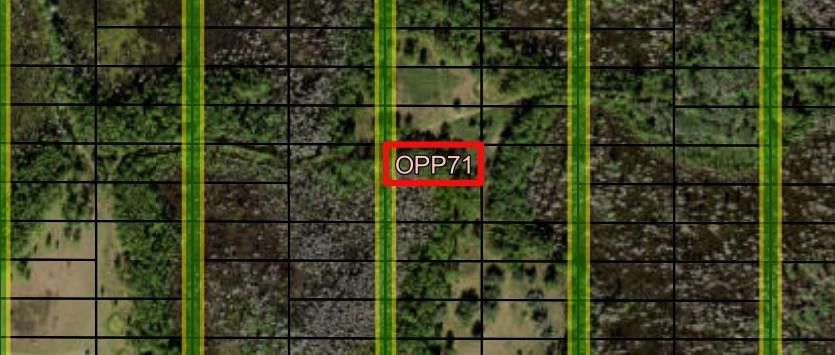 0 Old Grade Road, Polk City, FL 33868