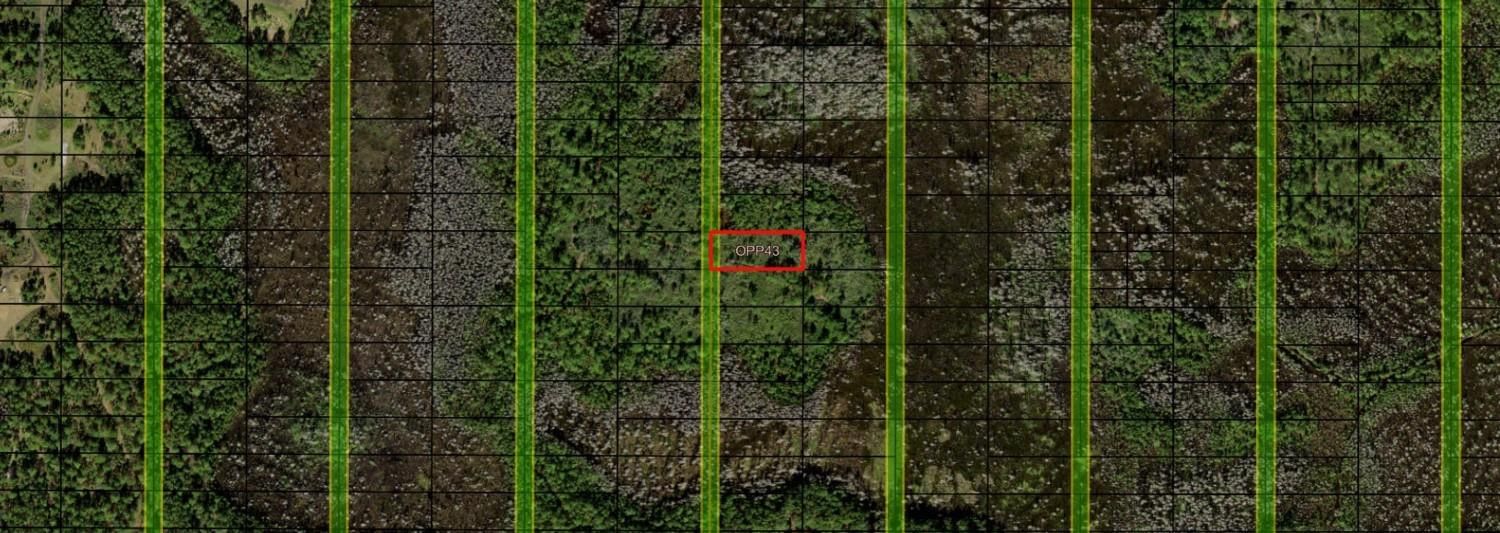 0 Old Grade Road, Polk City, FL 33868