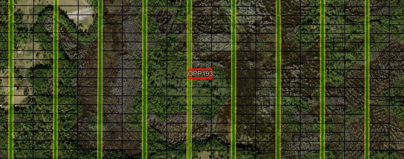 0 Old Grade Road, Polk City, FL 33868 photo 2