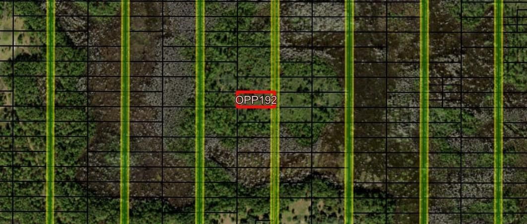 0 Old Grade Road, Polk City, FL 33868