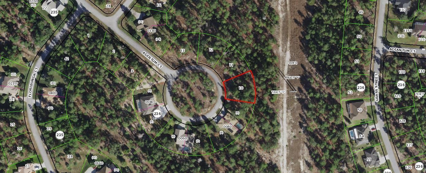 29 Ageratum Court, Homosassa, FL 34446