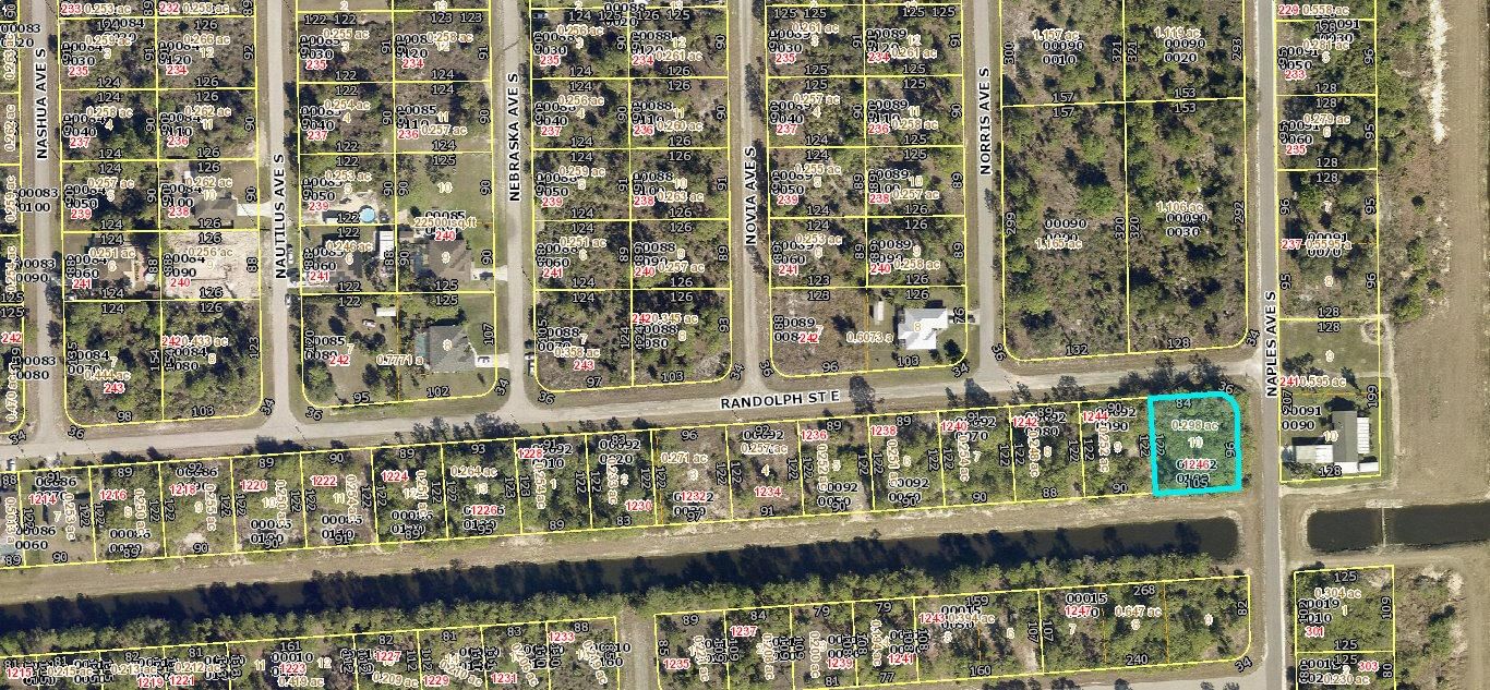 1246 Randolph Street, Lehigh Acres, FL 33974 photo 3