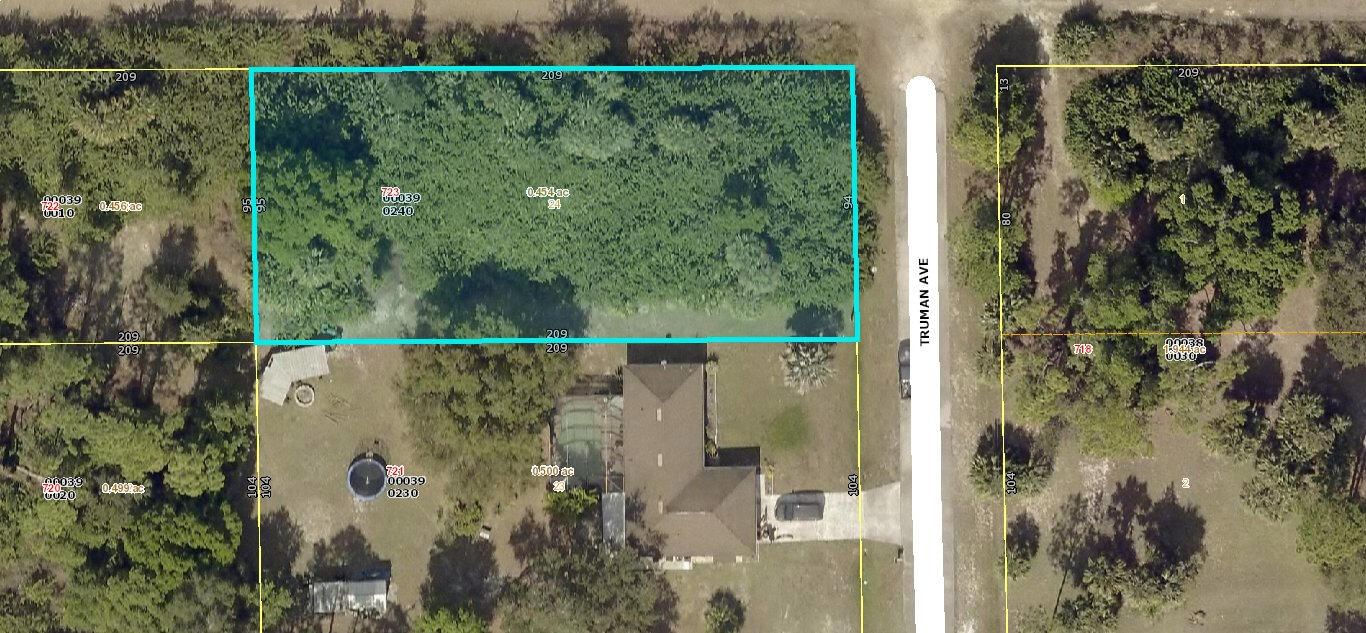 723 Truman Avenue, Lehigh Acres, FL 33972 photo 3