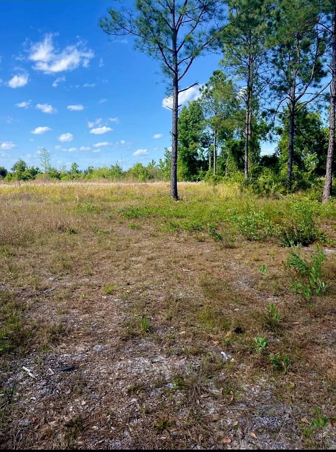 1108306 Oil Well Road, Clermont, FL 34714 photo 2