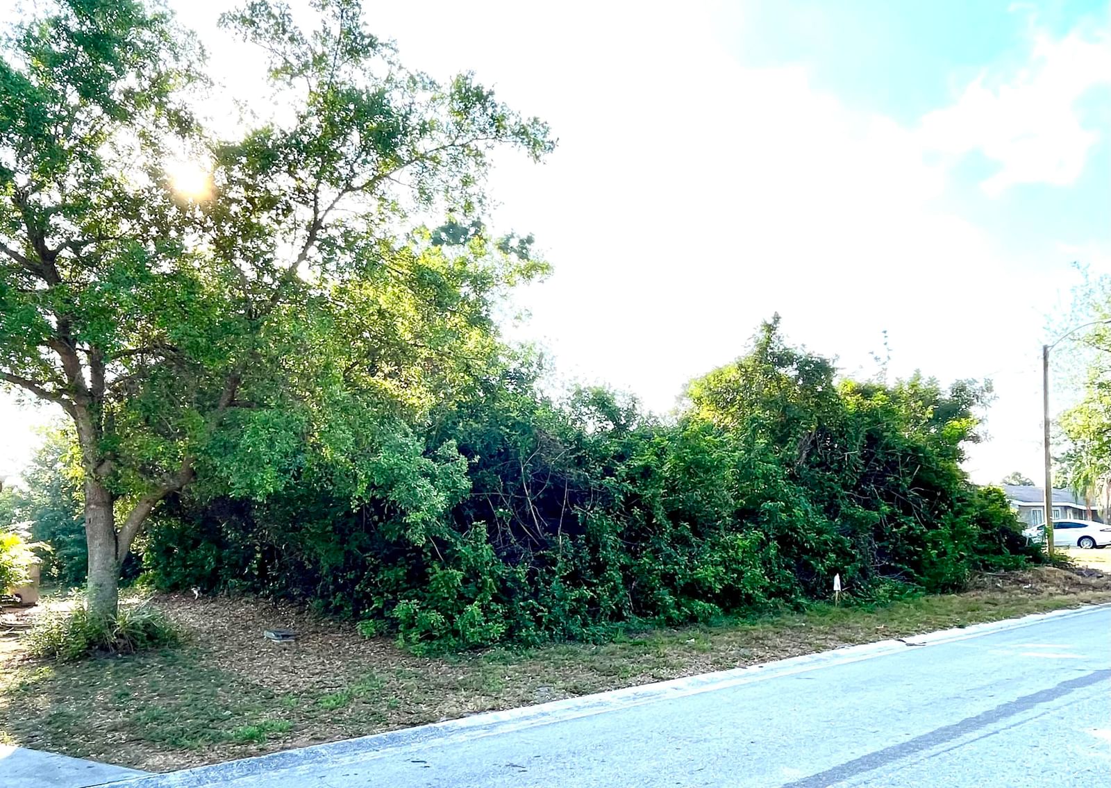 2336 13th Avenue SW, Vero Beach, FL 32962 photo 3